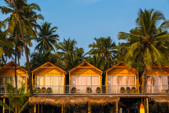Tropical beach huts with palm trees in the background