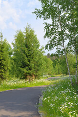Asphalt running track in the nature