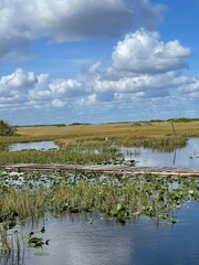 landscape with lake and clouds