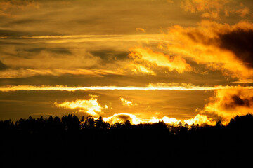Golden Sky