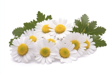 Fresh bouquet of mixed flowers on a clean surface