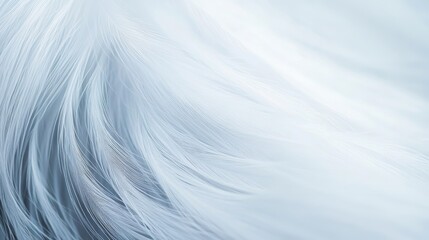 Simple white gradient background with text for business or tutorial presentations