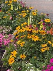 Obraz premium flowerbed