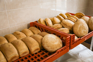 A lot of bread on a tray in a bakery. Real production.