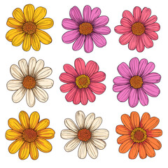 Retro Daisy Flowers Set in Vintage Style