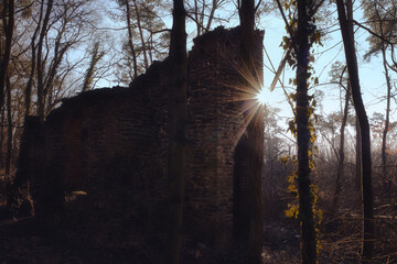 old dilapidated gothic chapel in the forest