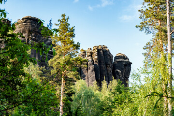 Elbsandstein