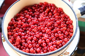 bowl of red currant 