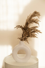 Pampas grass bouquet in a modern round shape white vase standing on a white scandinavian coffee table. Minimal boho styled interior design, living room or bedroom decor. 
