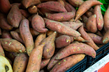 Raw sweet potato tubers for sale on market counter. Vegetarian food concept