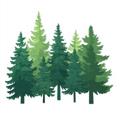 Obraz premium Evergreen trees stand tall in a lush forest scene