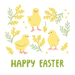 Happy Easter greeting card with cute chickens and mimosa branches. Green and yellow colors on white. Spring background for printing on fabric and paper. Vector designs elements set. Flat illustration.