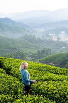 Young blonde woman hiking among tea plantations in Munnar, Kerala, India