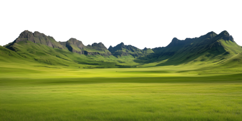 A tranquil alpine meadow featuring vibrant green grass bordered by lush coniferous forests. The serene valley stretches toward a majestic mountain range under a clear blue sky, creating a picturesque 