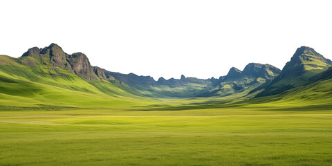 Fototapeta premium A tranquil alpine meadow featuring vibrant green grass bordered by lush coniferous forests. The serene valley stretches toward a majestic mountain range under a clear blue sky, creating a picturesque 