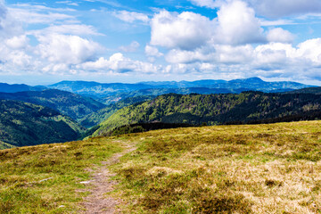 Landschaften auf dem Feldberg