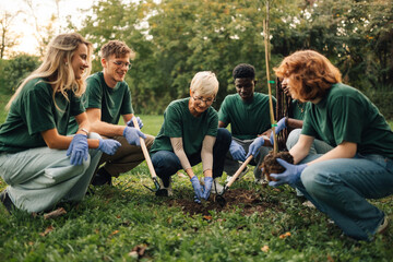 Group of volunteers planting trees in the park