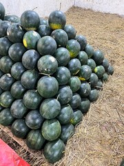 Watermelons piled up in a traditional Indonesian market