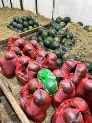 Watermelons piled up in a traditional Indonesian market