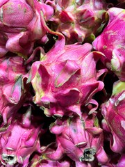 dragon fruit neatly arranged in the market