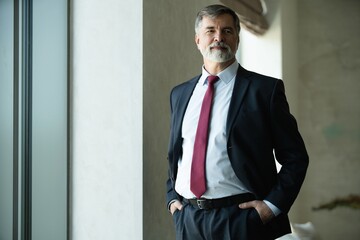 Portrait of a confident mature businessman standing in a modern office