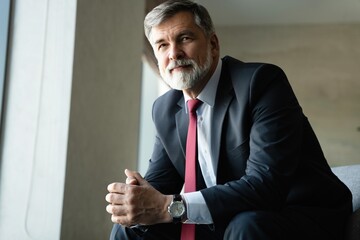 Positive successful mature businessman sitting in armchair in modern office