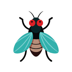 vector botfly illustration on white background 