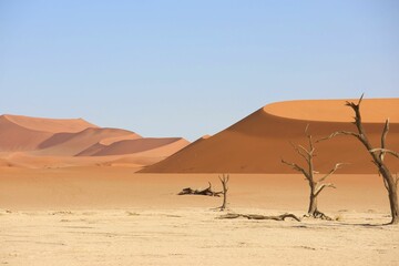 Stunning view of the desert landscape with towering red dunes and dead trees under a clear blue sky.