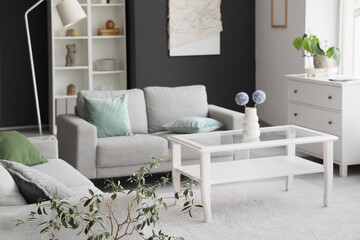 Interior of modern living room with grey sofa and glass coffee table