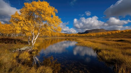 Fototapeta premium Golden autumn birch tree reflecting in calm lake, mountain background, scenic landscape photography for nature, travel, and environmental publications