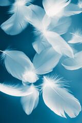 Naklejka premium Blue cyanotype print of white bird feathers, alternative photography