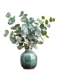 Green eucalyptus branches in vase.