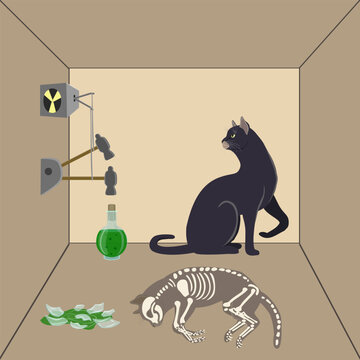 Illustration of Schrodinger's cat: the concept of quantum mechanics demonstrating the paradox of a living and dead cat in a box, with a radioactive element, a hammer, and a poison flask.