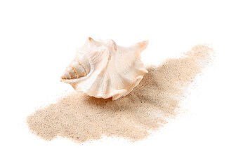 Beautiful seashell and sand isolated on white background