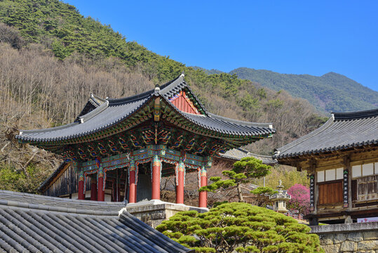 범종,범종각,보제루,법당,지리산,화엄사,구례군,전남