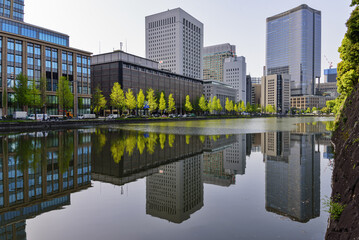 물,연못,나무,잎,고층빌딩,지요다,도쿄,일본 © JinChang