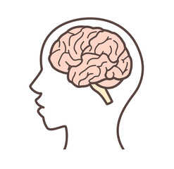 脳のイラスト