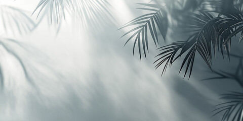 Background image for design or product presentation, with a play of light and shadow, in light gray tones