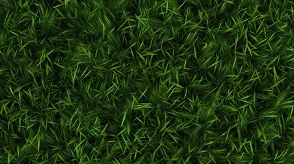 Obraz premium Lush Green Grass texture from Overhead View