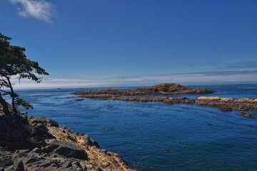 Fototapeta premium Shark Reef Sanctuary coastal ocean views Lopez Island, San Juan Islands summer 2024, Washington, United States.