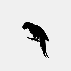 Parrot bird icon flat vector design