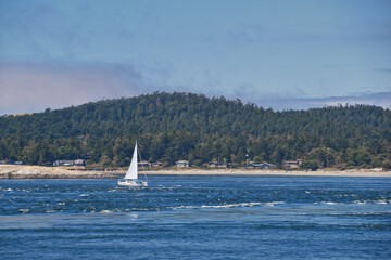 Shark Reef Sanctuary coastal ocean views Lopez Island, San Juan Islands summer 2024,  Washington, United States.
