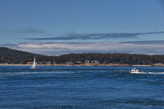 Shark Reef Sanctuary coastal ocean views Lopez Island, San Juan Islands summer 2024,  Washington, United States.