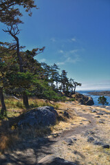 Shark Reef Sanctuary coastal ocean views Lopez Island, San Juan Islands summer 2024,  Washington, United States.