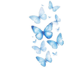 Obraz premium Group of blue butterflies watercolor painting on transparent background