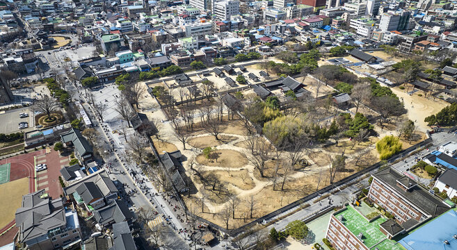 도로,나무,담장,기와지붕,기와집,경기전,전주한옥마을,완산구,전주시,전북