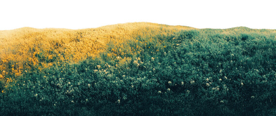 PNG Sunny river border landscape nature view.