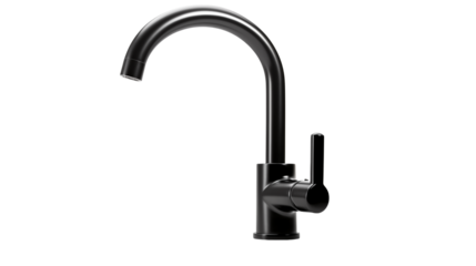 Sleek Modern Black Faucet for Kitchen or Bathroom Design