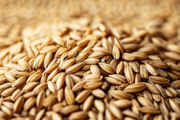 Obraz premium Close-Up of Grains with Insects in Sharp Macro Lighting, Showcasing Natural Farm Backdrop and Raw Textures of Rural Agriculture