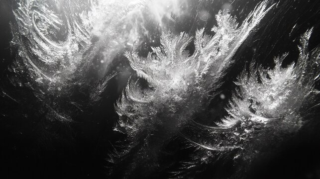 A macro shot of frost forming geometric shapes on a leaf, with a soft, blurred background. 416